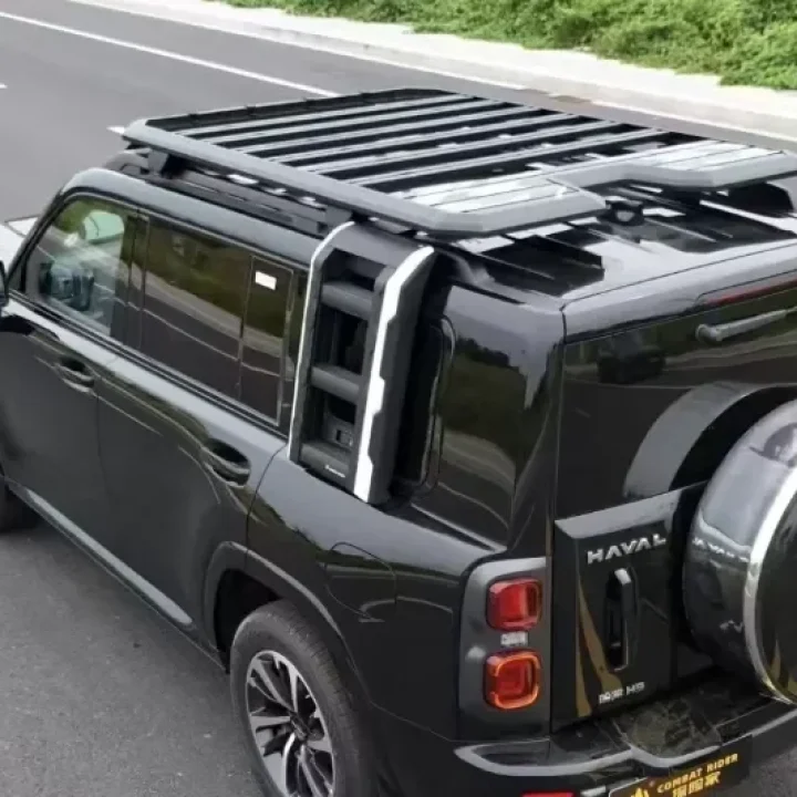 GWM-Haval-H9-Combat-Rider-Defender-Roof-Luggage-Rack-Platform-Side-Ladder (1)