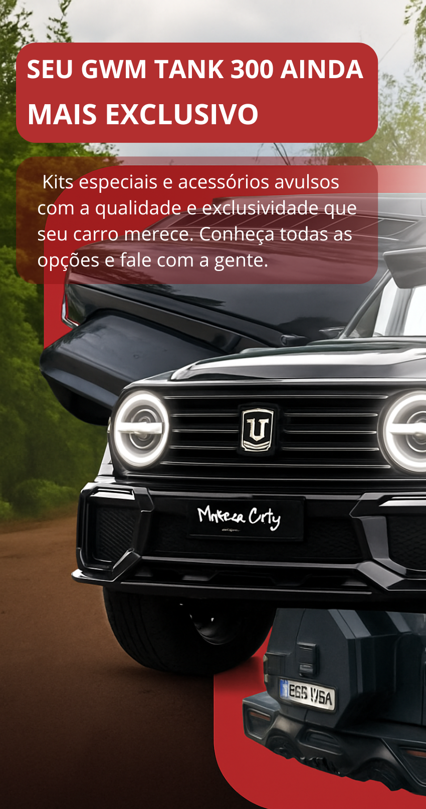 SEU GWM TANK 300 (2)